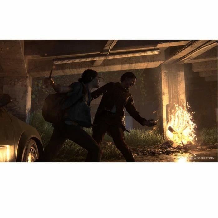 Sony Computer Entertainment The Last of Us Part II PS4 Sony Computer Entertainment The Last of Us Part II PS4