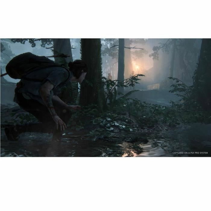 Sony Computer Entertainment The Last of Us Part II PS4 Sony Computer Entertainment The Last of Us Part II PS4