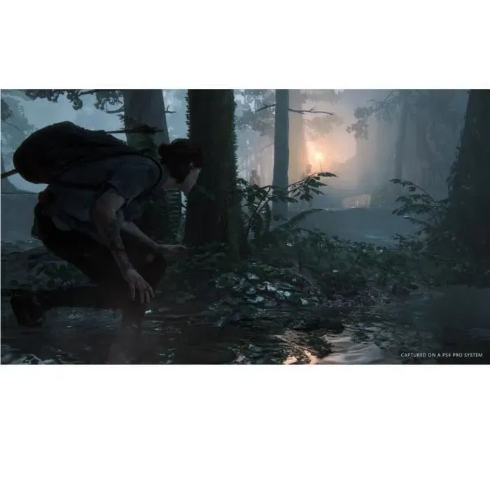 Sony The Last of Us Part II - Jeu d'Action-Aventure sur PS4 (Compatible PS5) - Version Française
