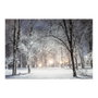 Lumineo Tableau LED paysages enneigés 58x1,5x38cm 6 LED 2 modèles assortis lumière froide et chaude 2xAA