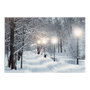 Lumineo Tableau LED paysages enneigés 58x1,5x38cm 6 LED 2 modèles assortis lumière froide et chaude 2xAA
