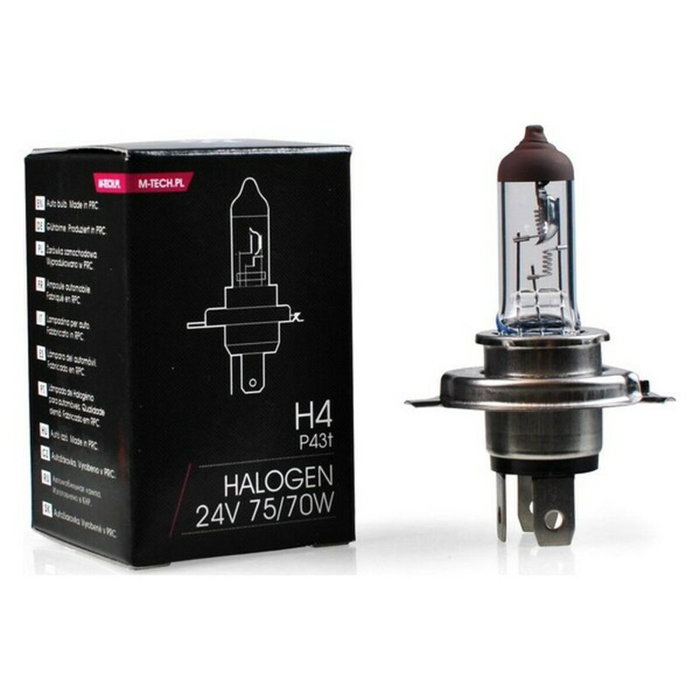 M-Tech Lampe Halogène PX26D 24V/70W H7