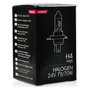 M-Tech Lampe Halogène PX26D 24V/70W H7