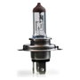 M-Tech Lampe Halogène PX26D 24V/70W H7