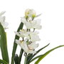 BigBuy Home Plante décorative Bambou 45 x 45 x 100 cm
