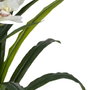 BigBuy Home Plante décorative Bambou 45 x 45 x 100 cm