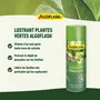 Algoflash - Lustrant pour Plantes Vertes, Engrais Liquide Nettoyant Anti-Calcaire et Anti-Poussière, Compatible Agriculture Biologique, 250 mL