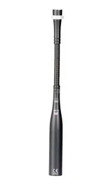 AKG GN15 Flexo Col De Cygne Avec Vis Et DPA AKG
