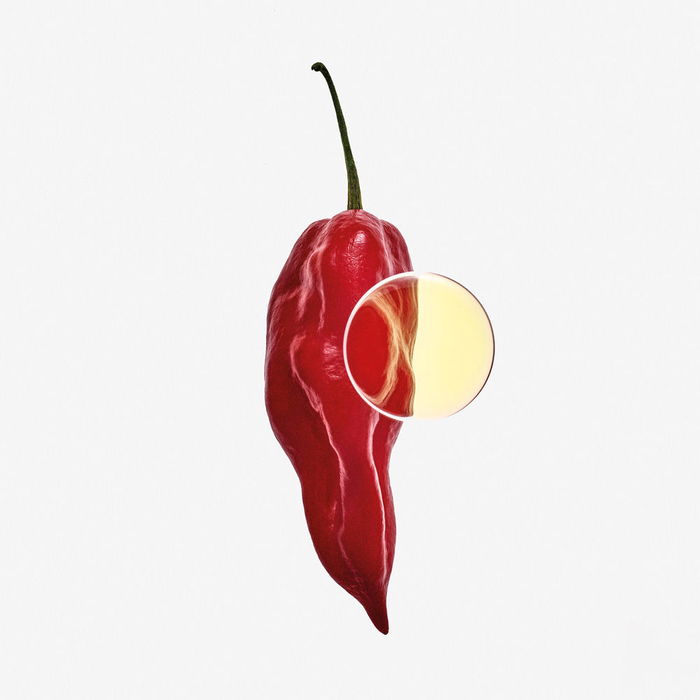 Loewe LOEWE 7 ELIXIR EDP Vapo Parfum pour Homme 100 ml