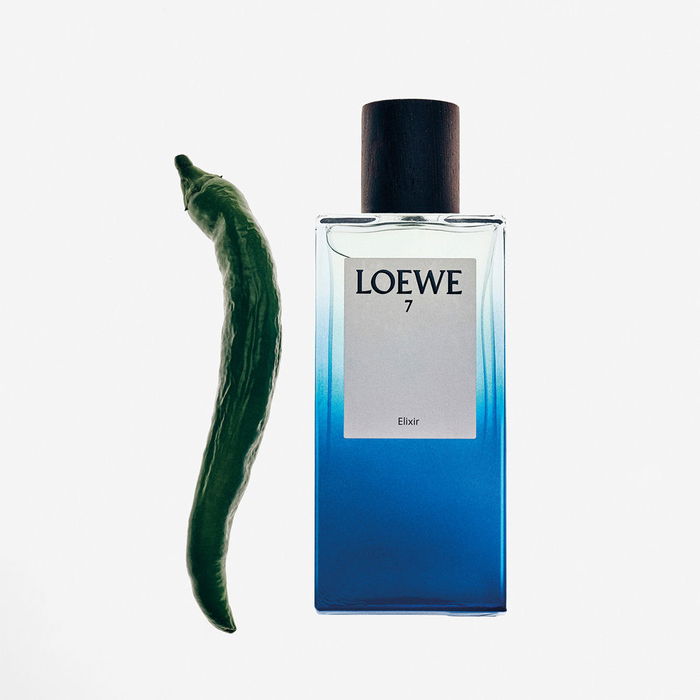 Loewe LOEWE 7 ELIXIR EDP Vapo Parfum pour Homme 100 ml