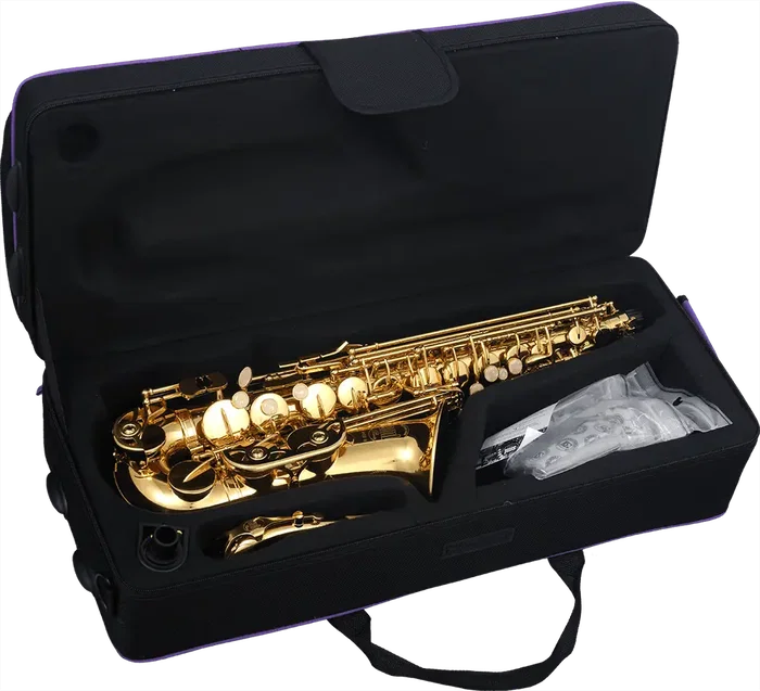 SML Saxophone Alto A420-II Laqué Doré avec Kit BG - Mi bémol