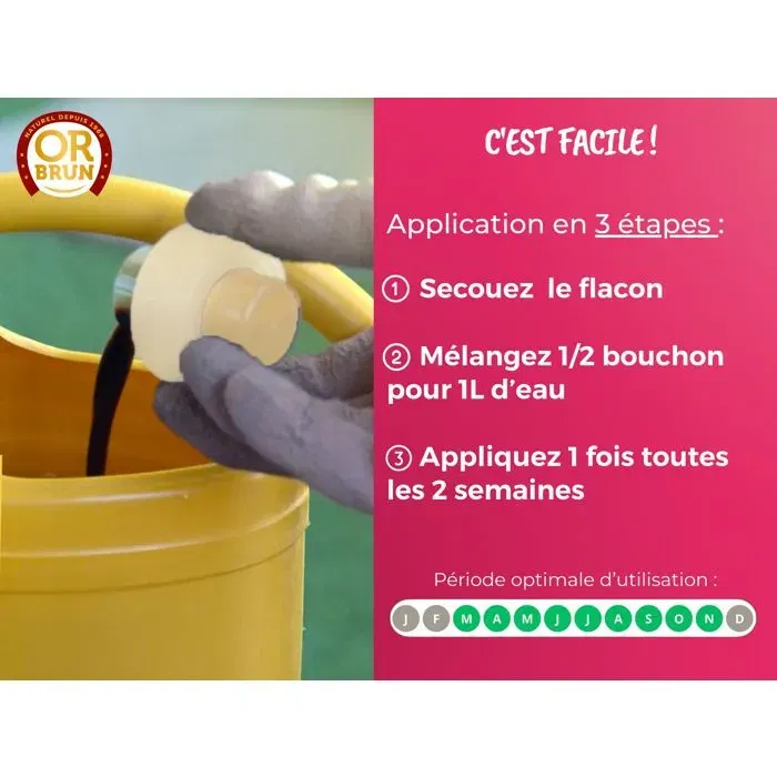 Or Brun Engrais liquide pour orchidées 250ml - Améliore et favorise la croissance - Composition naturelle pour l'agriculture biologique - OBRECLORCH250