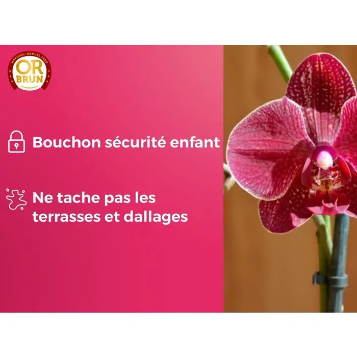 Or Brun Engrais liquide pour orchidées 250ml - Améliore et favorise la croissance - Composition naturelle pour l'agriculture biologique - OBRECLORCH250
