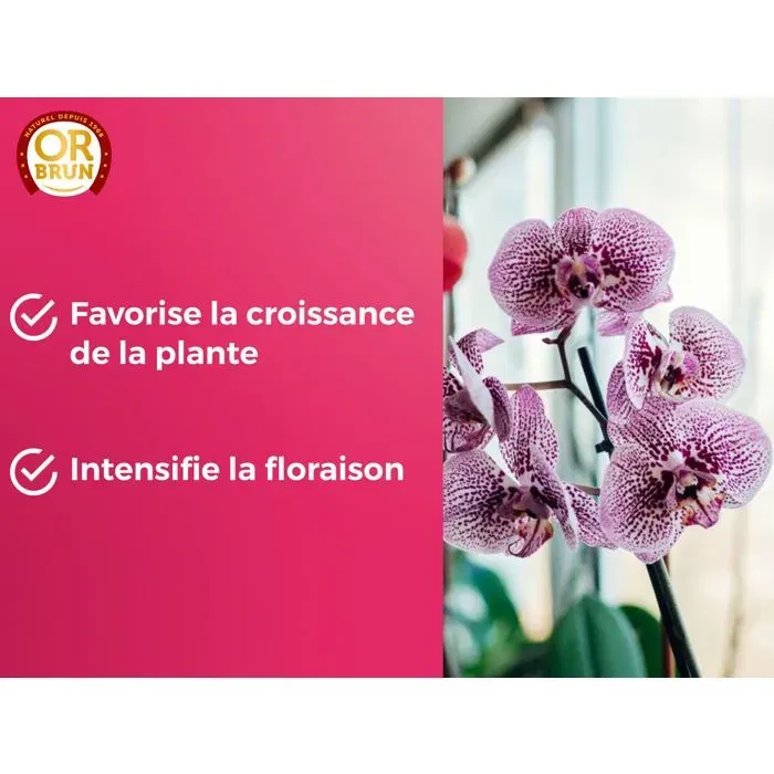 Or Brun Engrais liquide pour orchidées 250ml - Améliore et favorise la croissance - Composition naturelle pour l'agriculture biologique - OBRECLORCH250