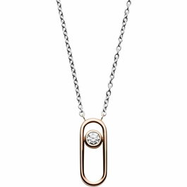 Collier Femme Skagen SKJ1169998 47 cm