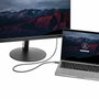 Câble USB C vers VGA Startech CDP2VGAMM2MB (2 m) Noir