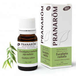 PRANAROM Eucalyptus radiata bio feuille huile essentielle