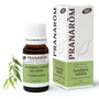 PRANAROM Eucalyptus radiata bio feuille huile essentielle