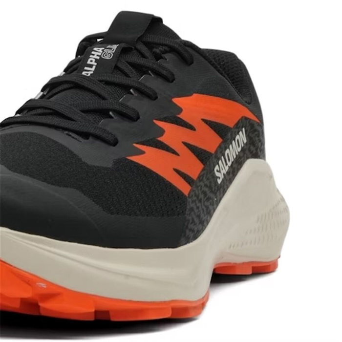 Chaussures de trail pour homme (course en montagne) Salomon Alphaglide Noir S