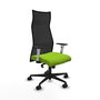 Piqueras y Crespo Chaise de Bureau Albacete Pistache et Noir