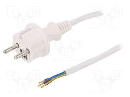 PLASTROL Câble d'alimentation H05VV-F 3x1mm², 5m, 16A