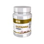 MEGA PLUS Glutamina Concept 500g