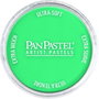 Panpastel 570.5 Cerceta