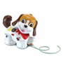 Vtech Baby Toutou 1,2,3 Promène-moi