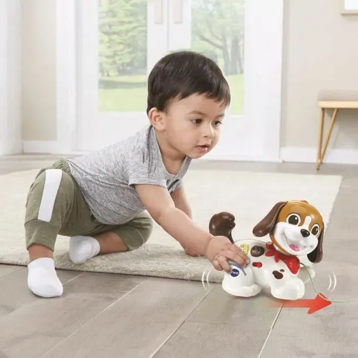 Vtech Baby Toutou 1,2,3 Promene-Moi - Petit chien interactif avec détecteur de mouvement, sons, chansons et boutons lumineux pour bébé