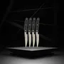 Nirosta - Lot de 4 couteaux à steak 22 cm Nirosta Fit - Lame dentelée en acier inoxydable, manche plastique confortable, pour une coupe précise