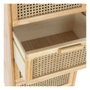 DKD Home Decor Caisson à Tiroirs Caoutchouc Rotin (40 x 30 x 90 cm)