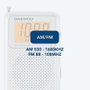 Radio transistor Daewoo DW1115