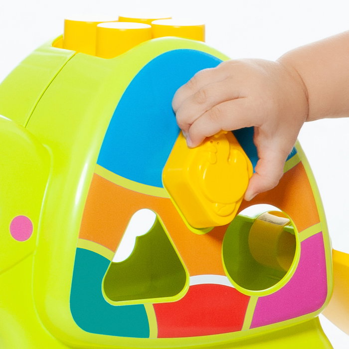 Molto Tortue d'activités avec sons - 12 pièces Molto Tortue d'activités avec sons - 12 pièces