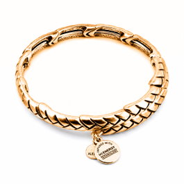 Alex And Ani Pulsera Natureza Dorée 20cm