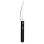 Amefa Lot de 12 Couteaux à Steak Acier Inoxydable Modèle Pizza Steak 21,2 cm