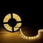 Bande LED 300 LED 80W 4400Lm 6000K Blanc Froid SMD5630 12VDC 5m
