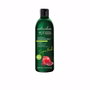 Naturalium Shampoing Super Food Pomegranate Color Protect 400 ml