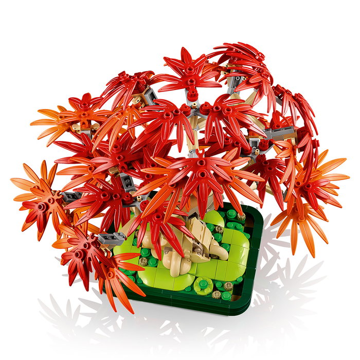 LEGO Botanicals Bonsai d'érable rouge du Japon 10348