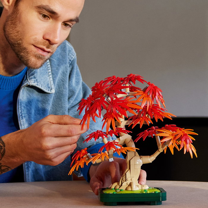 LEGO Botanicals Bonsai d'érable rouge du Japon 10348