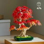 LEGO Botanicals Bonsai d'érable rouge du Japon 10348