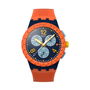 Montre Unisexe Swatch SUSI400