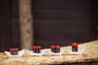 Verbatim AAA-LR03 - Lot de 24 Piles AAA Alcalines Micro 1,5V 1300 mAh - Pour Appareils Électroniques