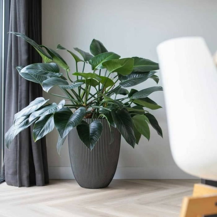 Capi Europe Vase élégant GROOVE 46x58 cm Anthracite