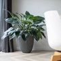 Capi Europe Vase élégant GROOVE 46x58 cm Anthracite