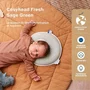 Babymoov Repose-tête pour bébé Cosyhead Coton Bio Certifié Oeko-Tex Vert Sauge