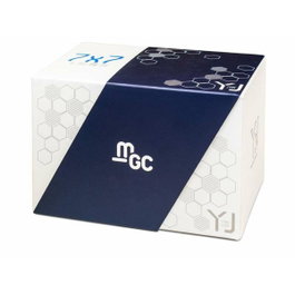Cayro Mgc Cube 7X7
