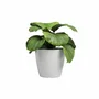 Artevasi Pot de fleurs SAN REMO 36 BR - Blanc - 36 x 36 x 33,5 cm - Pot décoratif pour plantes d'intérieur