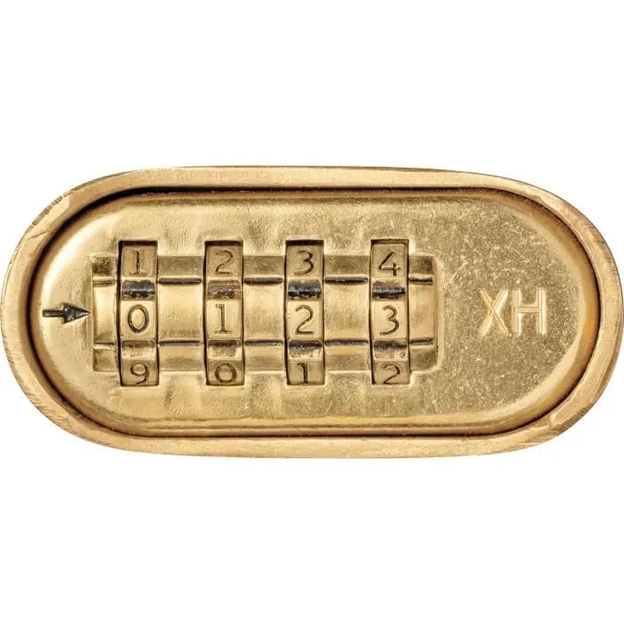 ABUS Cadenas à combinaison numérique 180IB/50HB63 - Corps laiton forgé, anse inox - Sécurité extérieure, verrouillage double, code 4 chiffres
