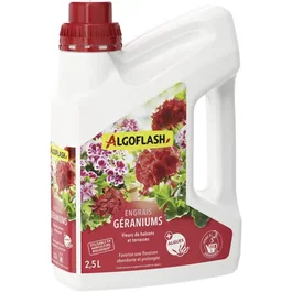 Algoflash Engrais pour Géraniums et fleurs de balcon 2,5 L