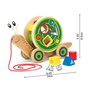 Hape - Jouet à tirer puzzle escargot en bois avec corde - Jeu d'encastrement pour enfants dès 12 mois - 30,10 x 18,6 x 11,20 cm